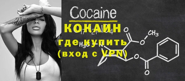 тгк Арсеньев