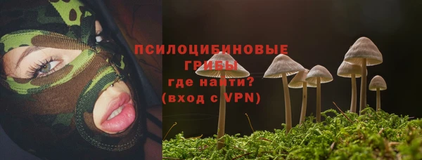 крисы Армянск