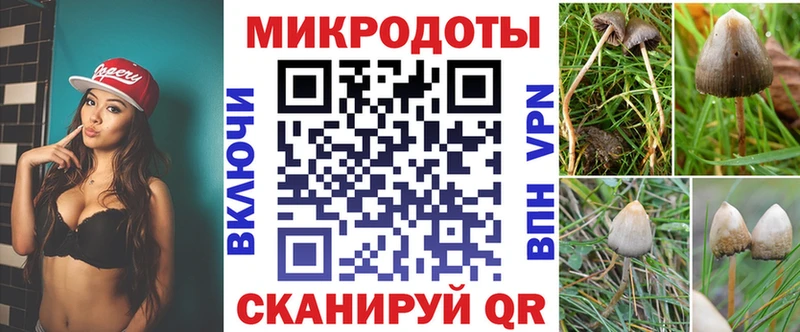 Галлюциногенные грибы мухоморы  наркотики  mega ССЫЛКА  Крым 